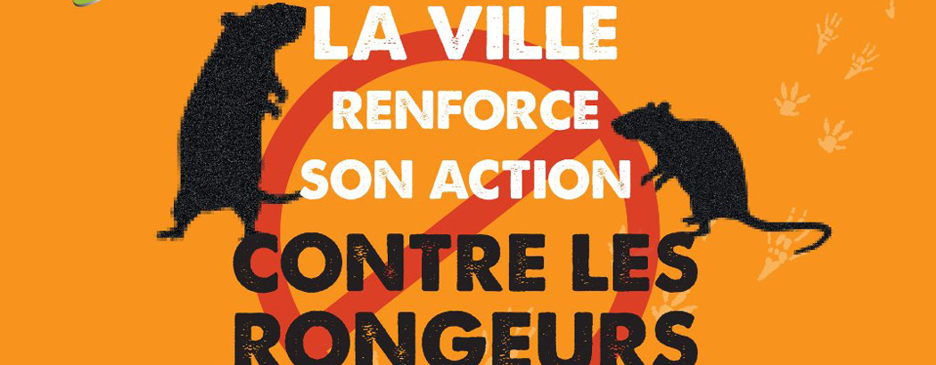 Action rongeurs